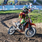 2026 Plews Tyres British Masters Motocross Championship - Junior 65cc Rider List